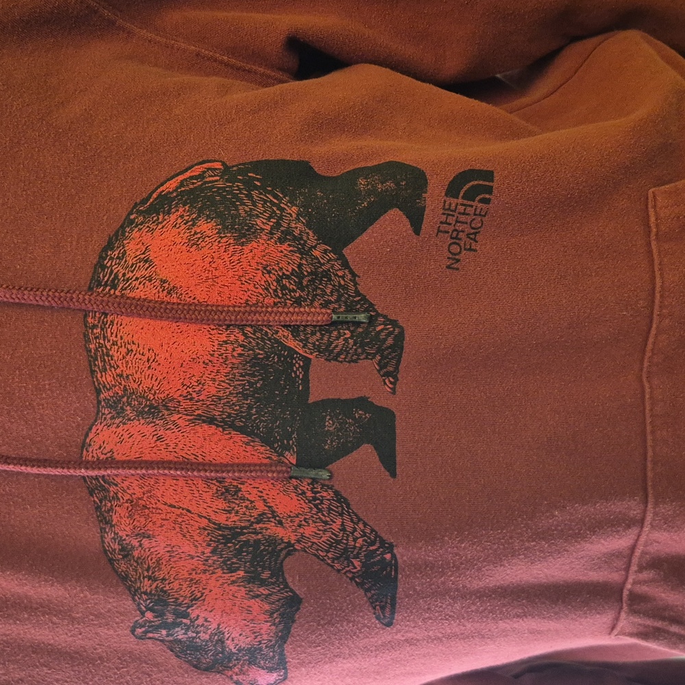 The Nortface TNF Hoodie Red Brick.SizeTag Missing. Pit To Pit:22.5"×26.5" Sz.M/L - Picture 2 of 16